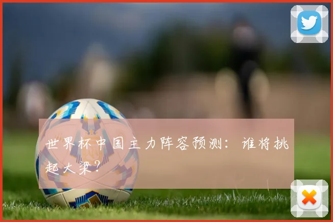 世界杯中国主力阵容预测：谁将挑起大梁？