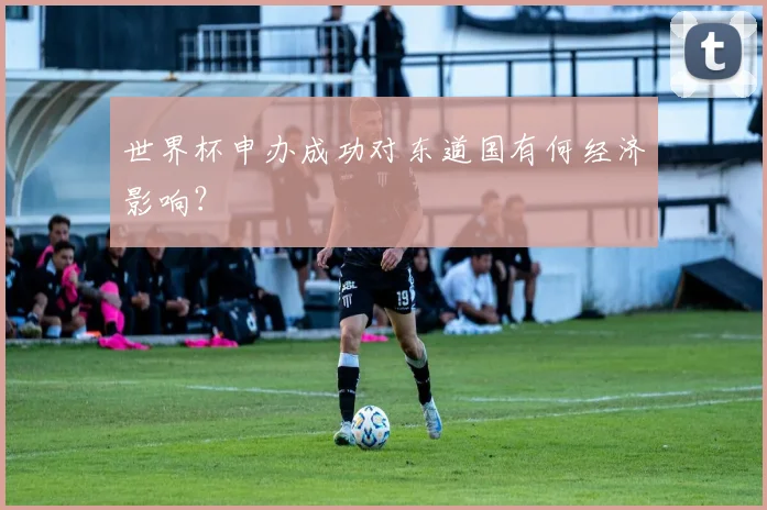 世界杯申办成功对东道国有何经济影响？