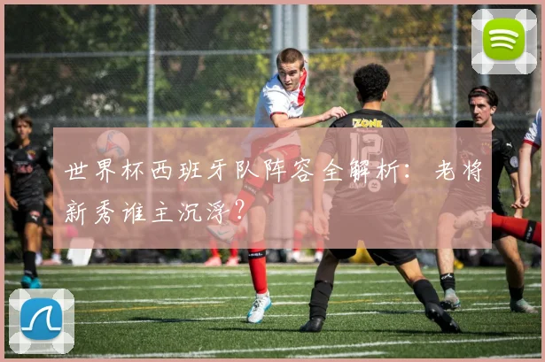 世界杯西班牙队阵容全解析：老将新秀谁主沉浮？