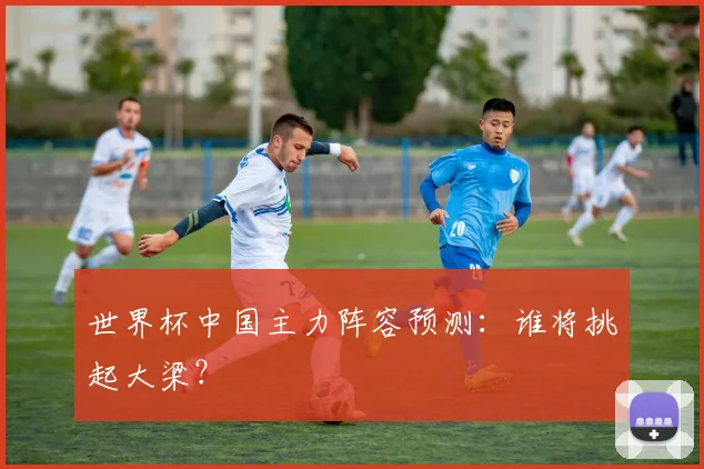 世界杯中国主力阵容预测：谁将挑起大梁？